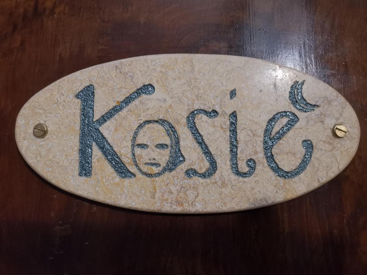 Kosie - Il Comfort Di Stile Con 2 Bagni Hotel Palermo Buitenkant foto